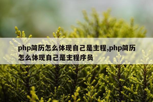 php简历怎么体现自己是主程,php简历怎么体现自己是主程序员