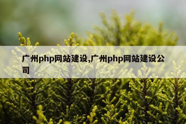 广州php网站建设,广州php网站建设公司