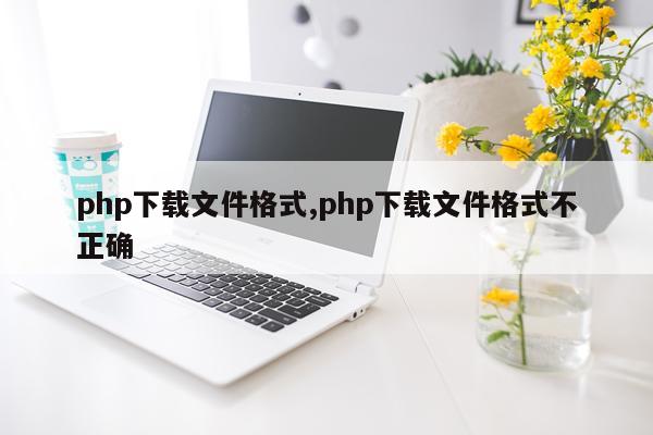 php下载文件格式,php下载文件格式不正确