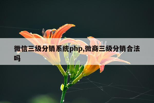 微信三级分销系统php,微商三级分销合法吗