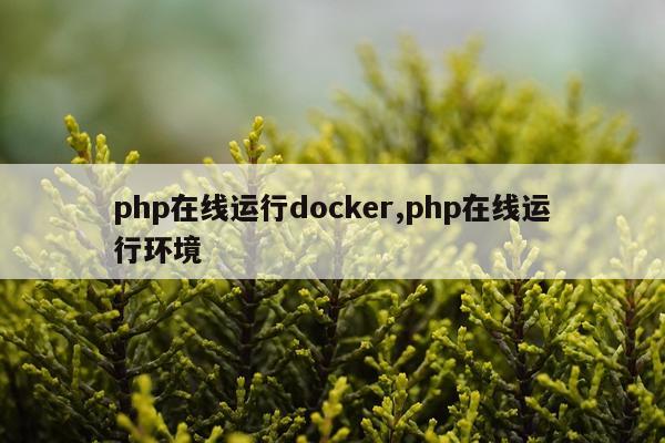 php在线运行docker,php在线运行环境