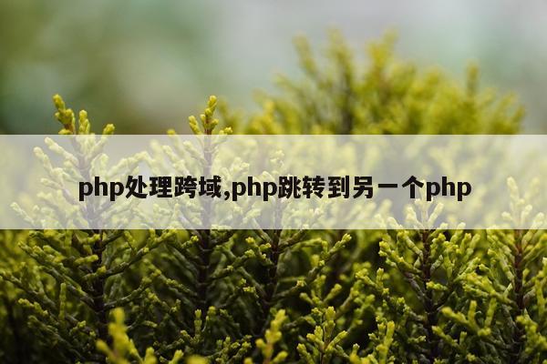 php处理跨域,php跳转到另一个php