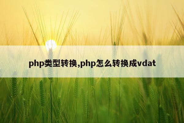 php类型转换,php怎么转换成vdat