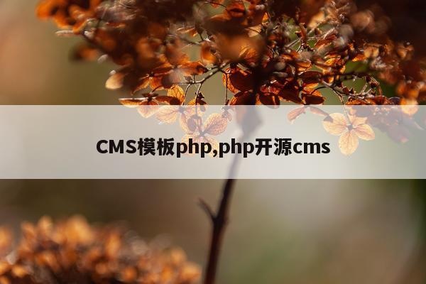 CMS模板php,php开源cms