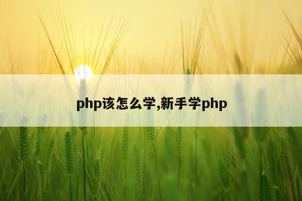 php该怎么学,新手学php
