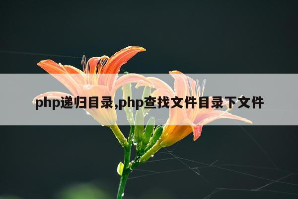 php递归目录,php查找文件目录下文件