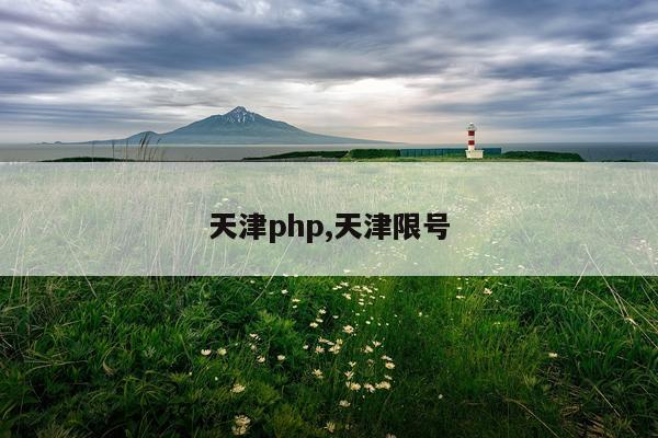 天津php,天津限号