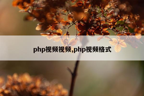 php视频视频,php视频格式