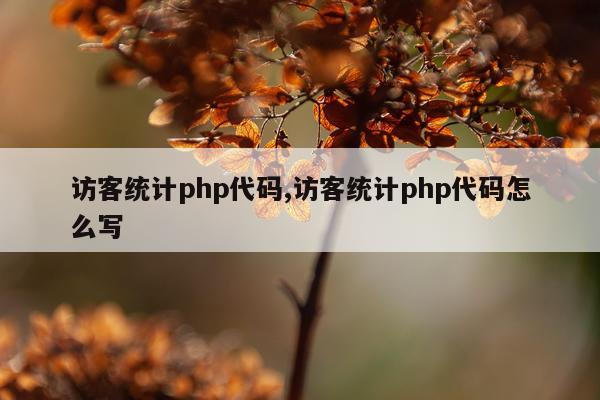 访客统计php代码,访客统计php代码怎么写