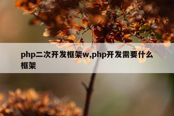 php二次开发框架w,php开发需要什么框架
