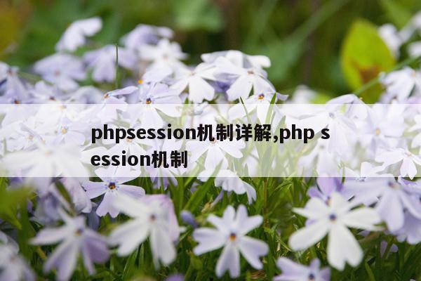 phpsession机制详解,php session机制