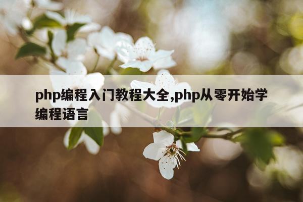php编程入门教程大全,php从零开始学编程语言