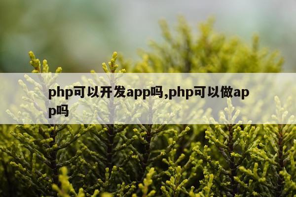 php可以开发app吗,php可以做app吗