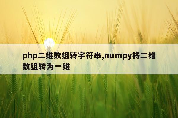 php二维数组转字符串,numpy将二维数组转为一维