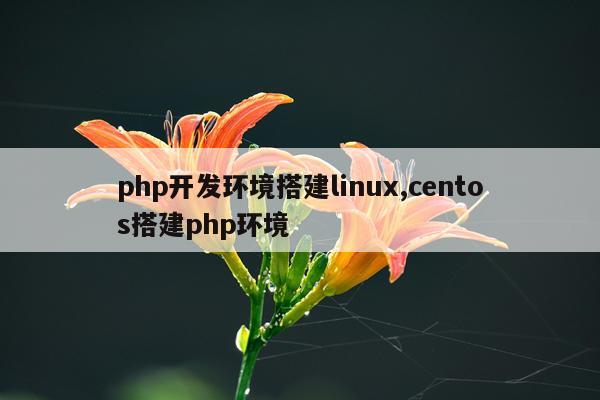 php开发环境搭建linux,centos搭建php环境