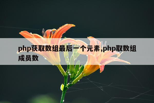 php获取数组最后一个元素,php取数组成员数