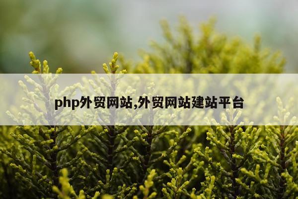 php外贸网站,外贸网站建站平台