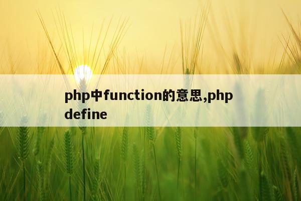php中function的意思,php define