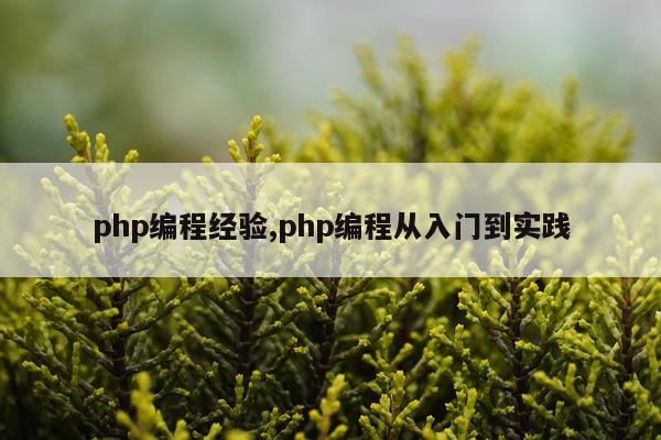 php编程经验,php编程从入门到实践