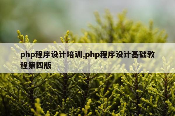 php程序设计培训,php程序设计基础教程第四版