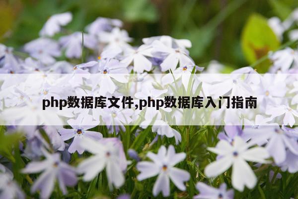 php数据库文件,php数据库入门指南