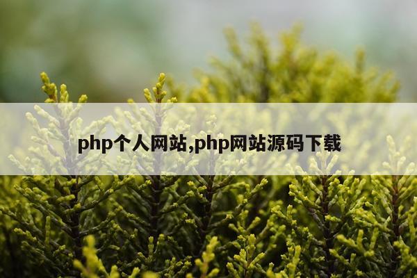 php个人网站,php网站源码下载