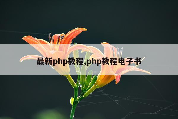 最新php教程,php教程电子书