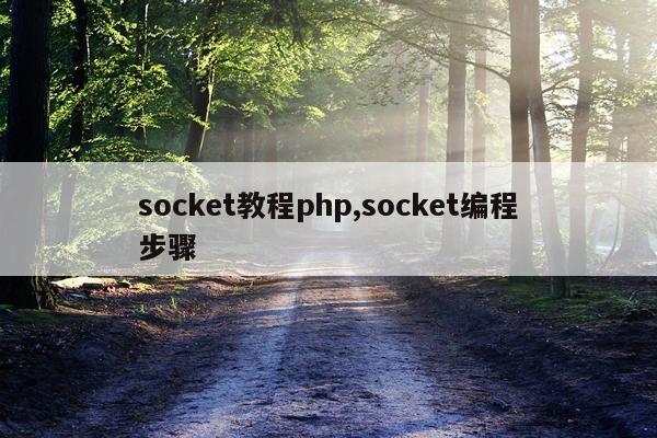 socket教程php,socket编程步骤