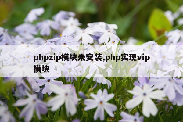phpzip模块未安装,php实现vip模块