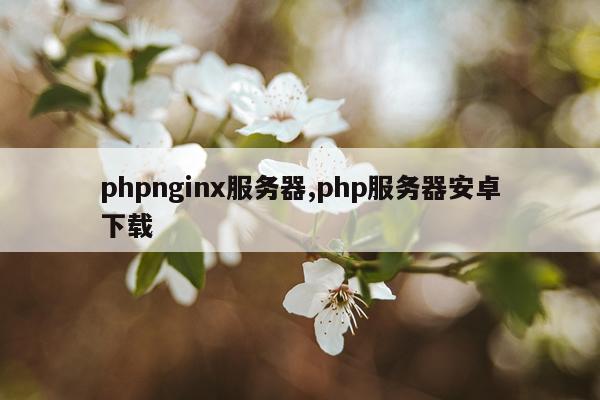 phpnginx服务器,php服务器安卓下载