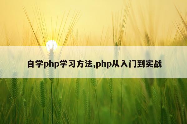 自学php学习方法,php从入门到实战
