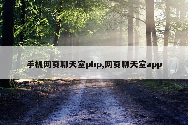 手机网页聊天室php,网页聊天室app
