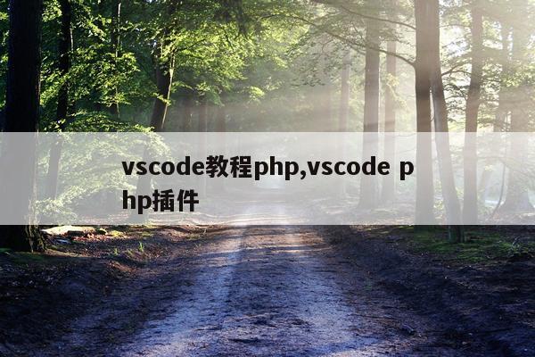 vscode教程php,vscode php插件