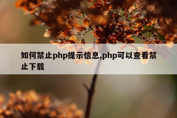 如何禁止php提示信息,php可以查看禁止下载