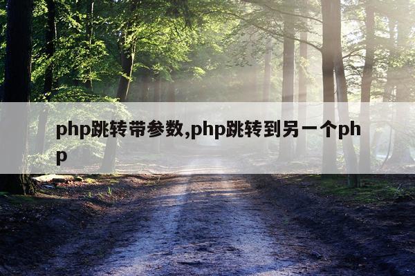 php跳转带参数,php跳转到另一个php