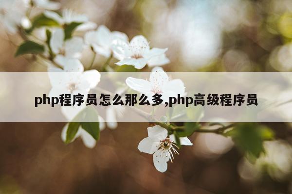 php程序员怎么那么多,php高级程序员