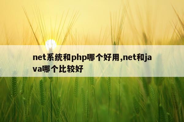 net系统和php哪个好用,net和java哪个比较好