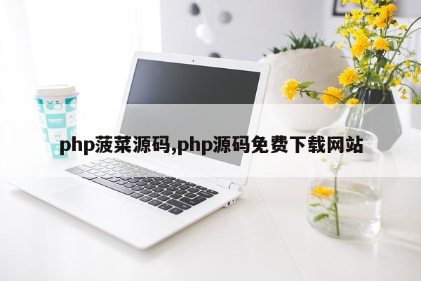 php菠菜源码,php源码免费下载网站