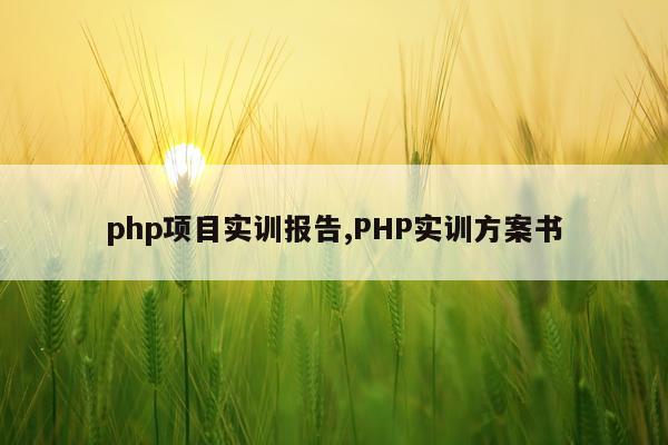 php项目实训报告,PHP实训方案书