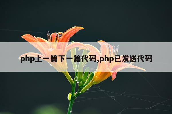 php上一篇下一篇代码,php已发送代码
