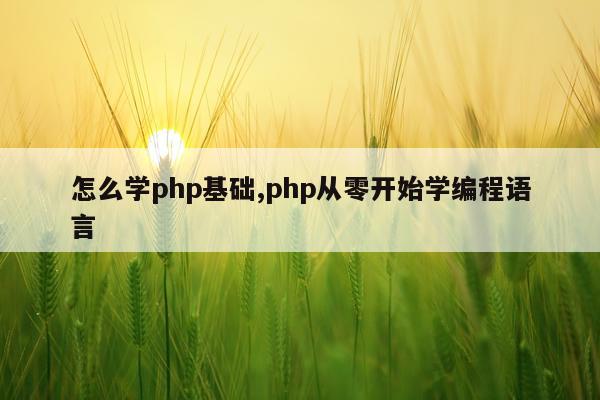 怎么学php基础,php从零开始学编程语言