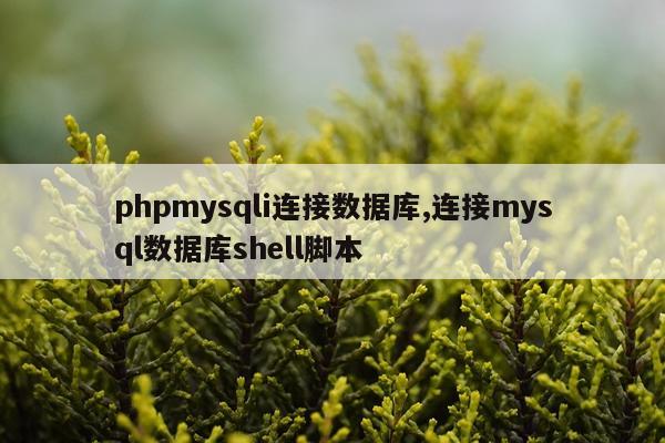 phpmysqli连接数据库,连接mysql数据库shell脚本