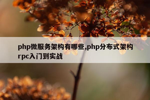 php微服务架构有哪些,php分布式架构rpc入门到实战