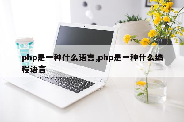 php是一种什么语言,php是一种什么编程语言