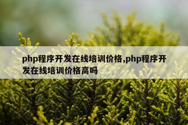 php程序开发在线培训价格,php程序开发在线培训价格高吗