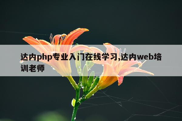 达内php专业入门在线学习,达内web培训老师