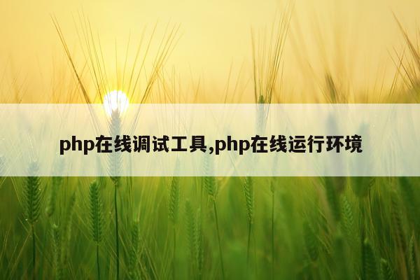 php在线调试工具,php在线运行环境