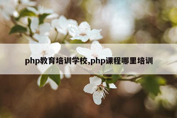 php教育培训学校,php课程哪里培训