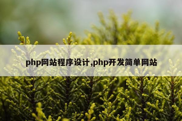 php网站程序设计,php开发简单网站