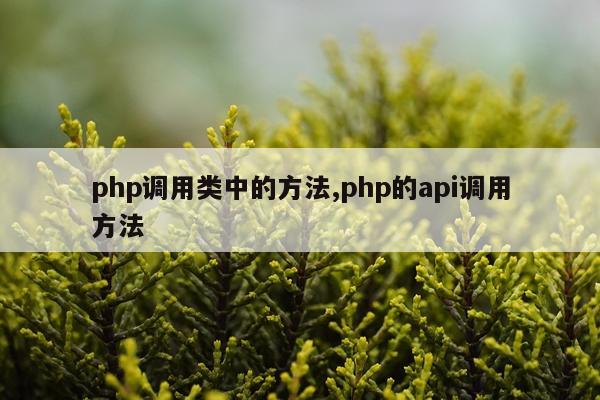 php调用类中的方法,php的api调用方法